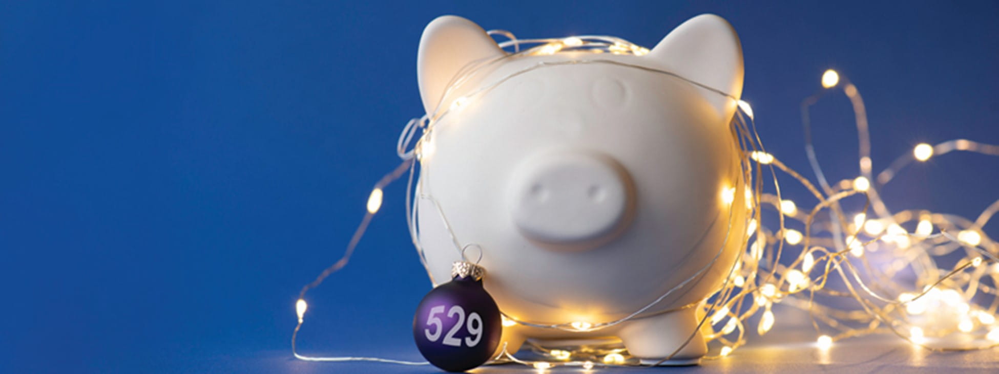 Piggy bank wrapped in LED lights